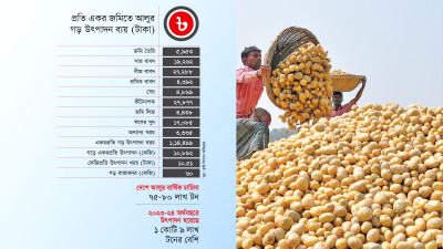 চাহিদার তুলনায় উৎপাদন বেশি, উৎপাদন খরচ মাত্র ১০ টাকা তবু আলুর কেজি ৬০ টাকা