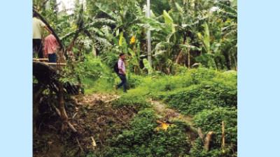 রাঙ্গামাটির পাহাড়ি ছড়ায় সেতুর অভাবে দুর্ভোগ