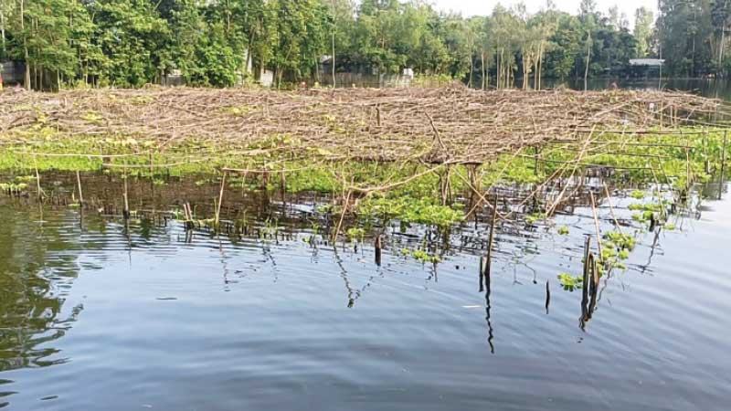 কুড়িগ্রামে বন্যায় কৃষি ও মৎস্য খাতে ১০৯ কোটি টাকার ক্ষতি