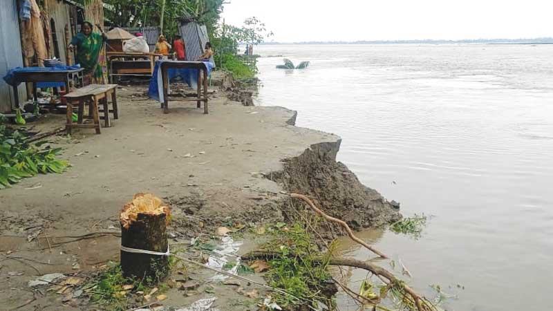 কুড়িগ্রামে ৫০ পয়েন্টে তীব্র নদীভাঙন