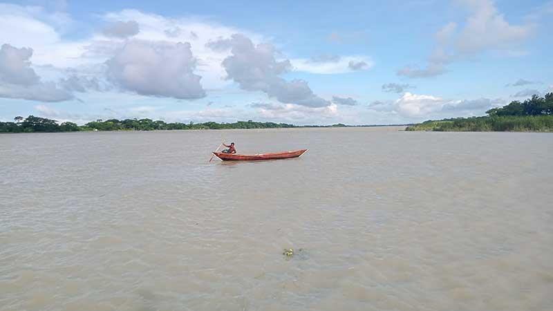 ইলিশের আকার বড় হলেও নদ-নদীতে ধরা পড়ছে কম