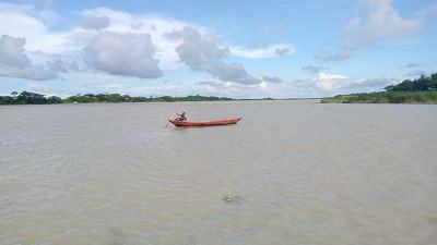 ইলিশের আকার বড় হলেও নদ-নদীতে ধরা পড়ছে কম