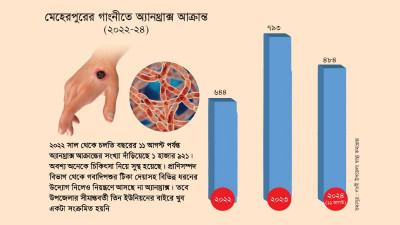 মেহেরপুরের গাংনীতে নিয়ন্ত্রণে আসছে না অ্যানথ্রাক্স