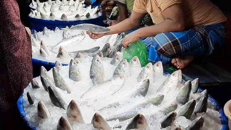 বাগেরহাটে কিছুটা কমেছে সবজি ও মাছের দাম