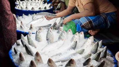বাগেরহাটে কিছুটা কমেছে সবজি ও মাছের দাম