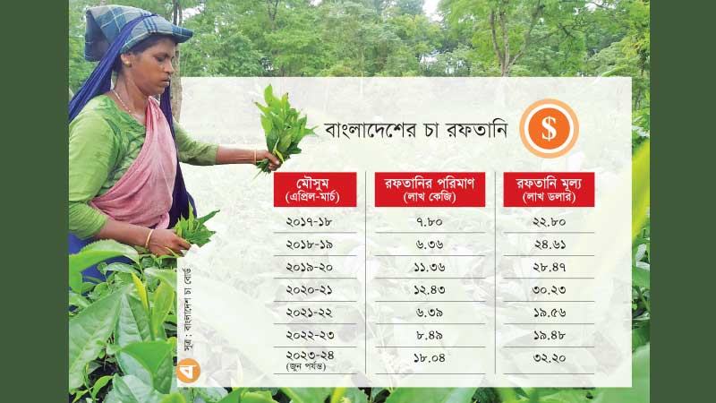 দুই প্রান্তিকে ছয় বছরের মধ্যে সর্বোচ্চ চা রফতানি
