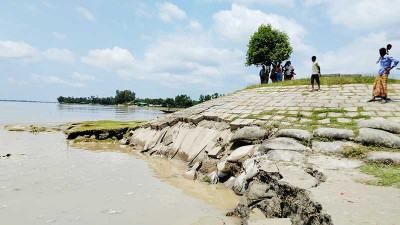 কুড়িগ্রামে তিস্তা নদীর স্পার বাঁধে ধস