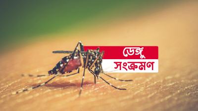 খুলনায় বাড়ছে ডেঙ্গু রোগী মশা নিধনে স্থবিরতা