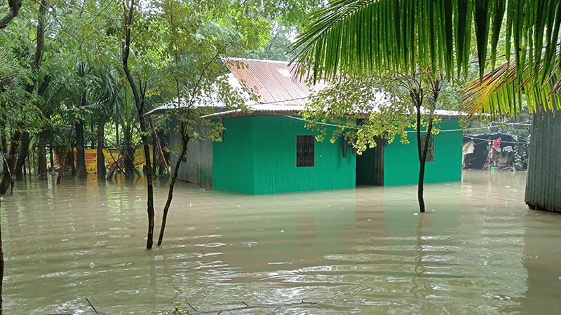 টানা বৃষ্টিতে বাড়ছে পানি, লক্ষ্মীপুরে পানিবন্দি লাখো মানুষ