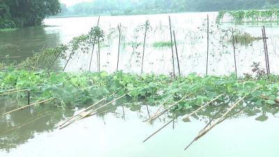 বন্যায় চট্টগ্রাম কৃষি অঞ্চলে দেড় লাখ হেক্টর জমির ফসলের ক্ষতি