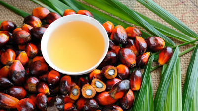 ফিউচার মার্কেটে ঊর্ধ্বমুখী পাম অয়েলের দাম