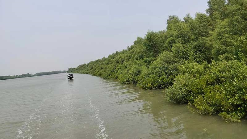 নিষেধাজ্ঞা শেষে রোববার উন্মুক্ত হচ্ছে সুন্দরবন