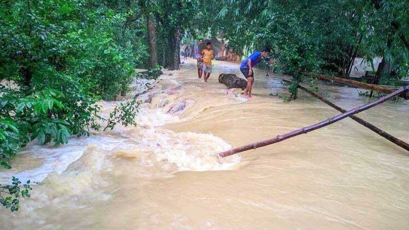 মিরসরাইয়ে বন্যায় মৎস্য খাতে ৩৭৪ কোটি টাকার ক্ষতি