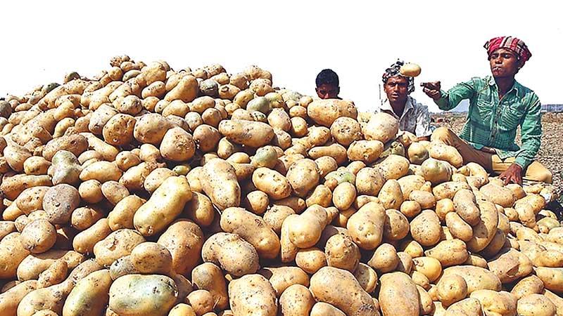 হিলিতে আলুর দাম কমেছে কেজিতে ৫ টাকা