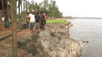ধরলার ভাঙনে কুড়িগ্রামে শতাধিক ঘর-বাড়ি বিলীন