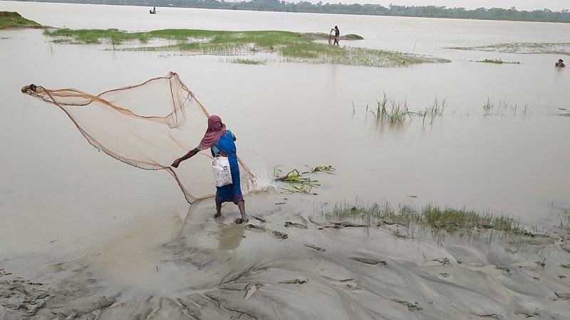 টানা বৃষ্টিতে খুলনায় ভেসে গেছে ৬০ শতাংশ মাছের ঘের