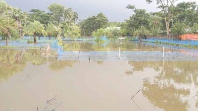 বাগেরহাটে টানা বৃষ্টিতে ভেসে গেছে ৭ হাজার মৎস্য ঘের, শত কোটি টাকার ক্ষতি