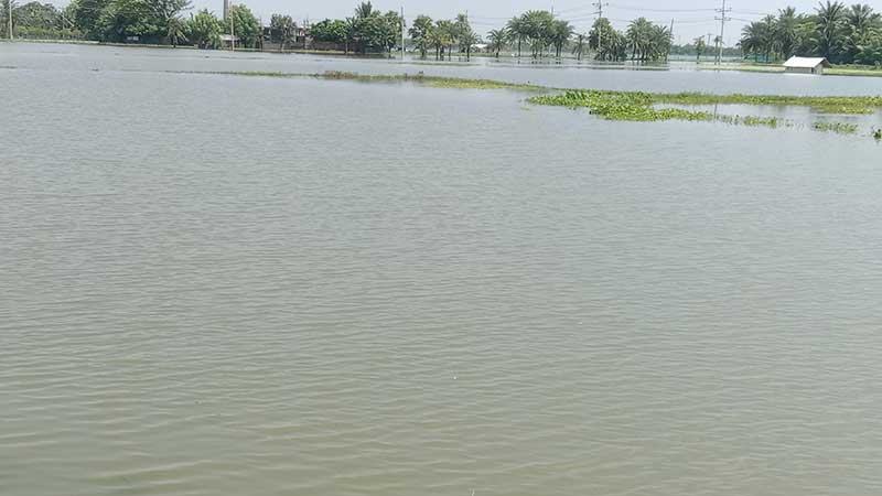 উপকূলীয় তিন জেলায় ডুবে গেছে ১২ হাজারের বেশি মাছের ঘের