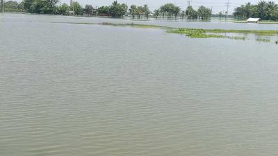 উপকূলীয় তিন জেলায় ডুবে গেছে ১২ হাজারের বেশি মাছের ঘের