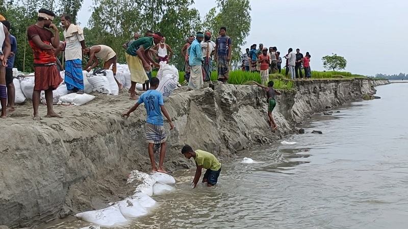 কুড়িগ্রামে স্বেচ্ছাশ্রমে নদীভাঙন রোধের চেষ্টা গ্রামবাসীর