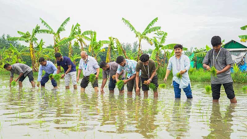 নোয়াখালীতে ধান ও সবজি চারা বিতরণ