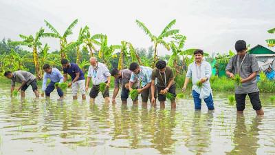 নোয়াখালীতে ধান ও সবজি চারা বিতরণ