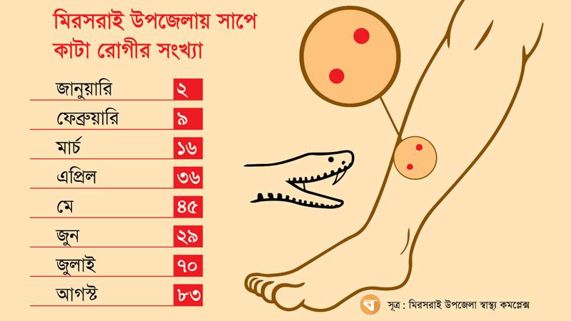 মিরসরাইয়ে সাপের উপদ্রব অ্যান্টিভেনম সংকট