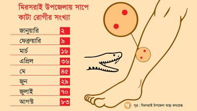 মিরসরাইয়ে সাপের উপদ্রব অ্যান্টিভেনম সংকট