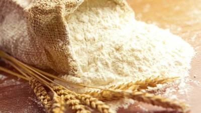 ইরাকের ময়দা আমদানি কমতে পারে ২৮%