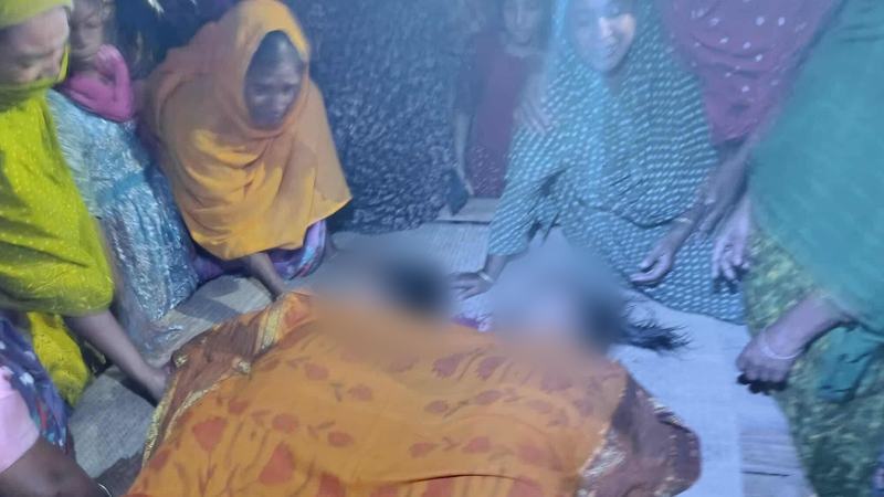 মেহেরপুরে শাপলা তুলতে গিয়ে দুই বোনসহ চার শিশুর মৃত্যু