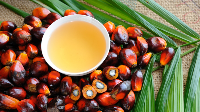 আন্তর্জাতিক বাজারে পাম অয়েলের দরপতন