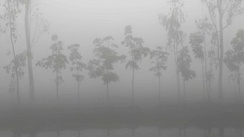 পঞ্চগড়ে বাড়ছে শীত, তাপমাত্রা ১২ ডিগ্রিতে