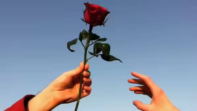 পেবলিং: ছোট উপহারে বড় আনন্দ