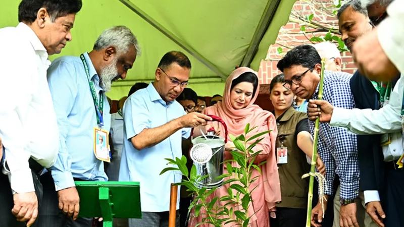 চিকিৎসক সমাবেশের উদ্বোধন করলেন প্রধানমন্ত্রী