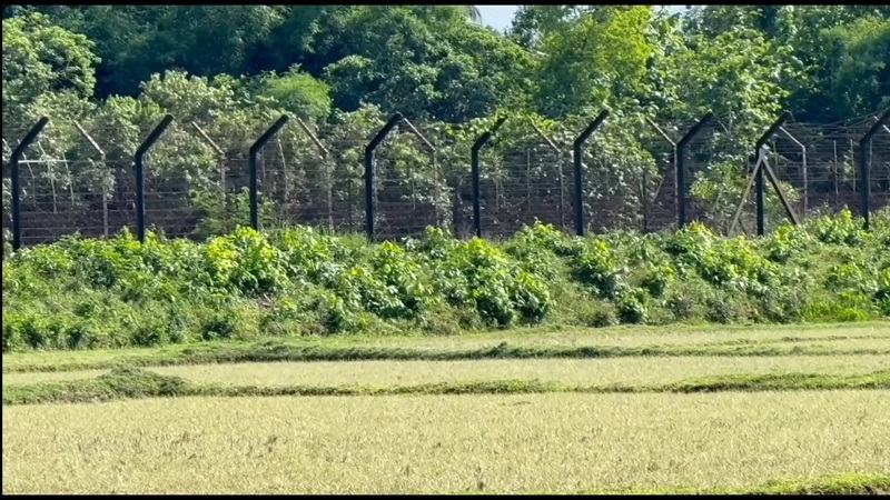 ফেনী সীমান্তে আরো ১১ জনকে পুশ-ইন করল বিএসএফ