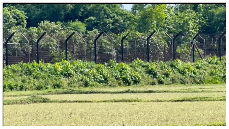 ফেনী সীমান্ত থেকে সবজি বিক্রেতাকে ধরে নিয়ে গেছে বিএসএফ