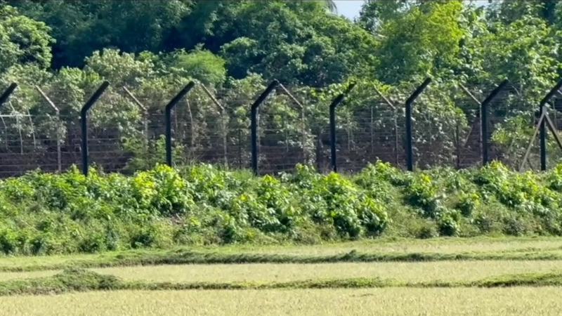 ফেনী সীমান্তে বিএসএফের গুলিতে দুই বাংলাদেশী যুবক নিহত