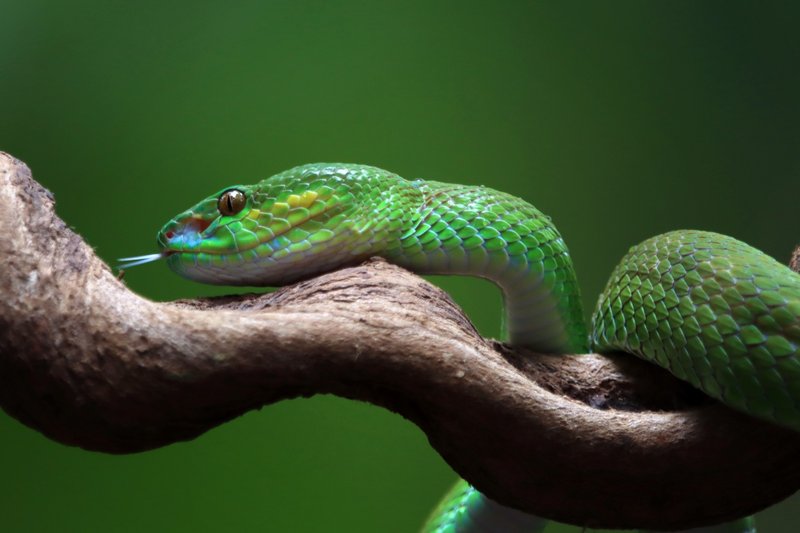 ফসদফগ