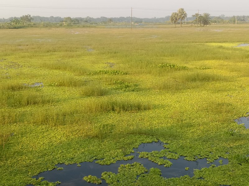 picture satkhira--2