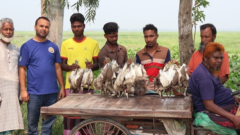 নাটোরে অর্ধশত বক হত্যার দায়ে তিন শিকারির কারাদণ্ড, দুজনকে জরিমানা