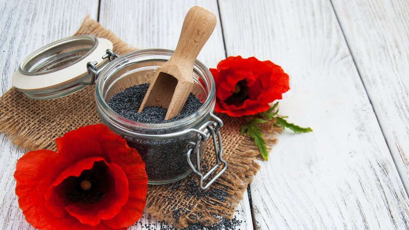 poppy-seeds-and-poppy-flowers BB