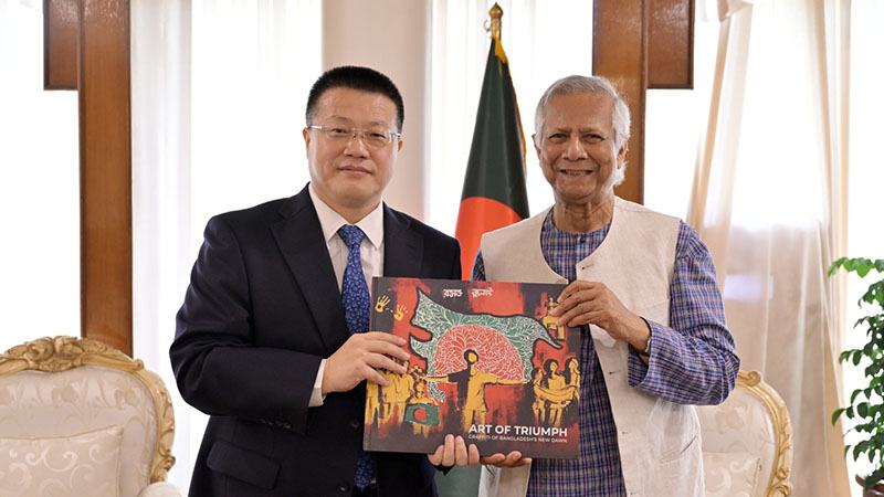 বাংলাদেশে বিনিয়োগ করবে চীনের সৌর প্যানেল জায়ান্ট ‘লংগি’