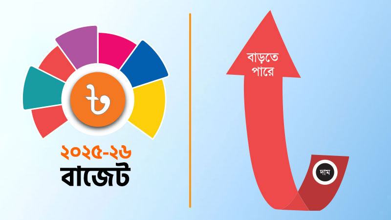 বাড়বে যেসব পণ্যের দাম