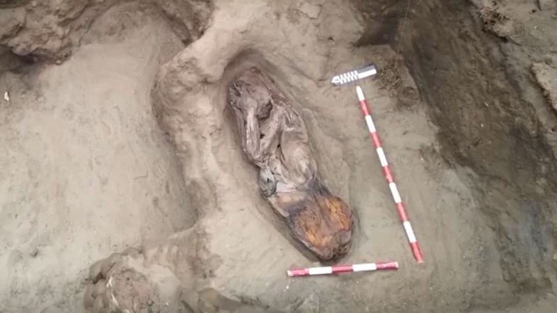 পেরুতে মিলল ৫ হাজার বছরের পুরনো নারীর দেহাবশেষ