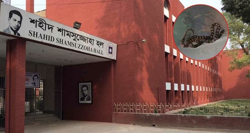 রাবির হলে গভীর রাতে মশারির ওপর বিষধর কালাচ সাপ