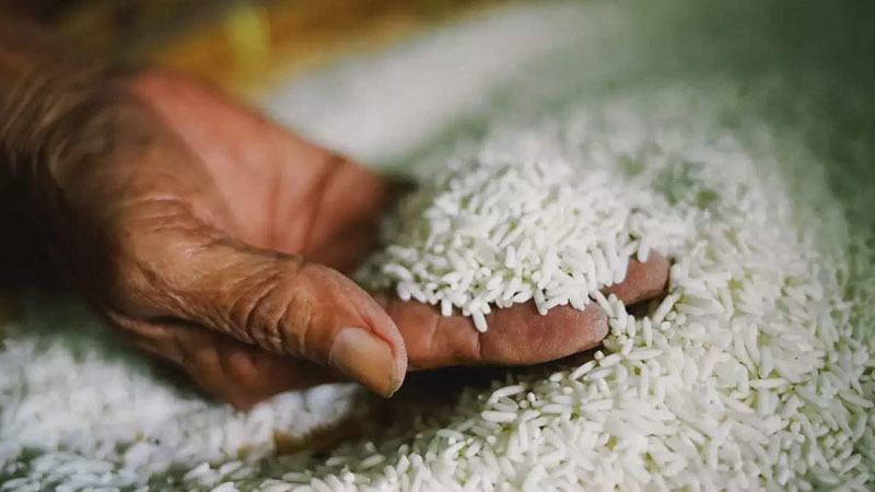চাল সরবরাহে চুক্তি না করায় যশোরে ৬২ মিলের লাইসেন্স বাতিল
