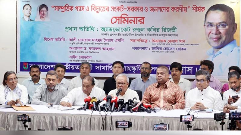 প্রতিষ্ঠান শক্তিশালী না হলে গণতন্ত্র টেকসই হবে না: রুহুল কবির রিজভী