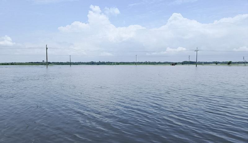 সাতক্ষীরায় ভারি বৃষ্টিতে তলিয়ে গেছে তিন হাজার হেক্টর ধানখেত