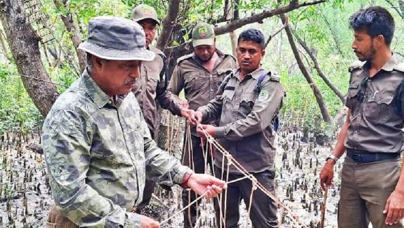 সমন্বিত অভিযানে সুন্দরবনে বেড়েছে বাঘ-হরিণসহ বন্যপ্রাণীর উপস্থিতি