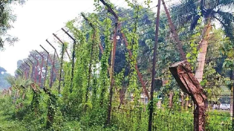 কসবা সীমান্তে বিএসএফের গুলিতে দুই বাংলাদেশী নিহত